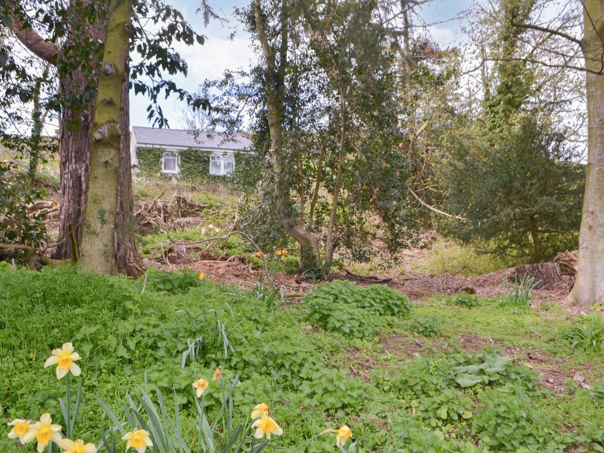 Maisies Cottage Earle Exterior photo